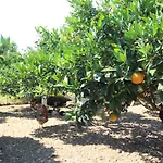 Szálloda Garden Pasztída