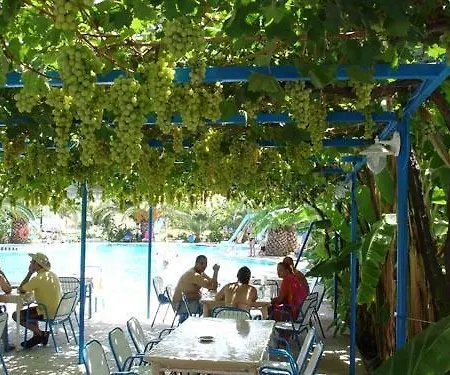 Garden Пастида