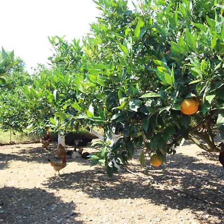 Отель Garden Пастида