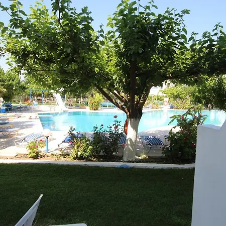 Garden فندق